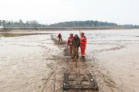 深陷淤泥无法脱身 消防员合力营救七旬被困老人图片