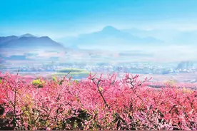 “桃醉”平谷，共赏春光图片
