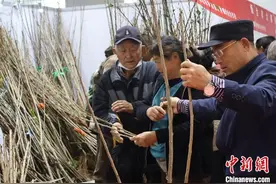 国际果蔬·食品博览会在山东烟台启幕 “五新”元素成亮点图片