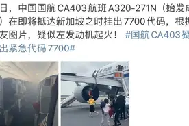 左侧发动机起火？成都飞新加坡国航航班挂紧急代码，现场视频→图片