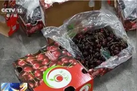 为什么车厘子一个月到中国却不腐烂？图片