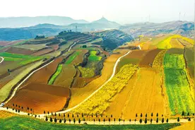 美丽乡村新画卷图片