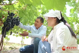临泽：贾宏福的“百果园”图片