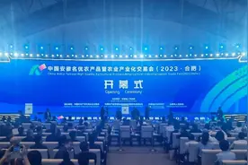 2023合肥农交会开幕图片