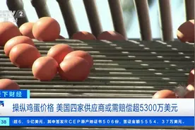 涉嫌操纵鸡蛋价格！美国四家供应商或需赔偿超3.7亿元图片