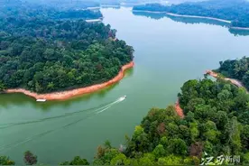 南丰：巡湖护水 守护水源地图片