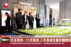 新政促成交 多地楼市交易回升 江苏苏州：11月新房 二手房成交量大幅增长视频封面