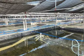 新春走基层丨风雨已远，复苏正劲——海南文昌台风灾区新春见闻图片