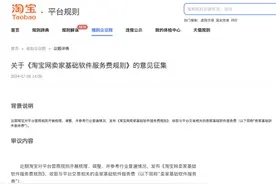 谈到电商增收能力，阿里也开始补课了图片