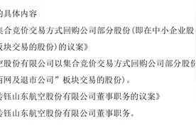 山航摘牌退市后风波再起：中小股东提议罢免董事长，尽快重启上市图片