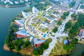 杨阳已任松山湖高新区管委会主任图片