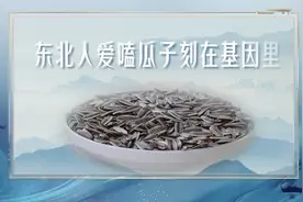 延缓衰老、改善失眠……嗑瓜子原来有这么多好处图片