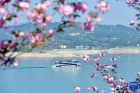 春花烂漫踏青时图片
