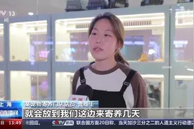 假期寄养预订火爆！萌宠经济升温 催生“花式养宠”新业态图片