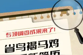长图丨省鸟褐马鸡，有了新简历图片