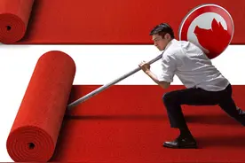 刘德华新片《红毯先生》改档至大年初一图片