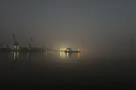 凌晨时分，闵行这里的警报响起，原因竟是图片