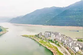 长江鲟和鳤首次现身三峡库区支流汤溪河云阳段图片