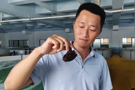 三亚鲨源纳米抗体开发应用成果初显 吸引67家科研机构和企业参与图片