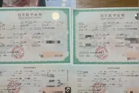 17岁女孩为50岁男子代孕生下双胞胎，官方回应图片