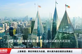 上港集团：聘任宋晓东为总裁、柳长满为副总裁获全票通过视频封面