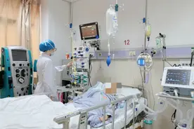 被马蜂蜇一下，竟然送进抢救室？！图片