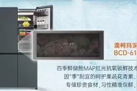 开启“时令级保鲜”体验，澳柯玛四季鲜储冰箱想你所需图片