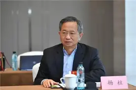 履新两个月，杨柱被查图片