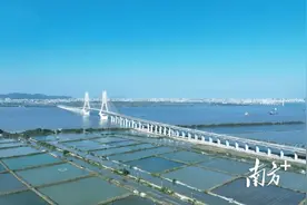 大桥建设、项目用地……牛田洋快速通道取得新进展图片