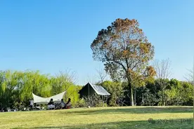 订单已排到10月！杭州有人为此3年花了6万图片