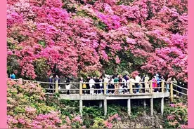 春季文旅全面开“花”！消费市场释放蓬勃活力图片