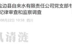 四川省盐边县自来水有限责任公司党支部书记、董事长、总经理熊维云被查图片
