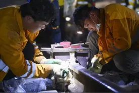 成达万高铁南充北站站改拨接施工顺利完工图片