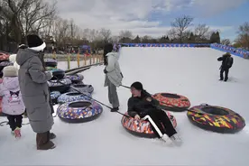 陶然亭公园冰雪嘉年华开启，提升企鹅区观赏性图片