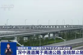 深中通道全线禁止随意停车 跨市公交、桥面穿梭巴士同步开通图片
