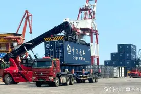 纸浆母港领跑全球！山东港口青岛港再度刷新纸浆装箱新纪录图片