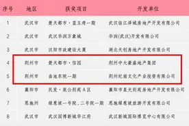 最新！荆州2个项目获“广厦奖”图片