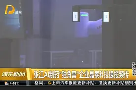 张江AI制药“独角兽”企业晶泰科技捷报频传视频封面