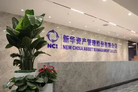 被曝失联后新华资产总经理张弛被免职，副总经理陈德礼任临时负责人图片