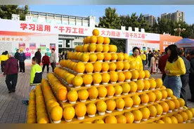 “橙”心助农，莞企受邀为梅州平远脐橙“带货”图片