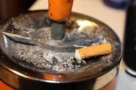 它是肺癌第二大危险因素图片