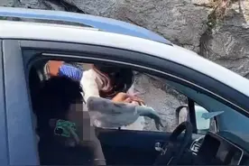 对话被青岛插队女司机殴打男子：绝不和解图片