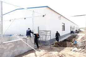 乐陵：发展特色产业 赋能乡村振兴图片