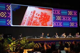 专访丨中国文化遗产保护为世界树立榜样——访联合国教科文组织保护非遗政府间委员会主席奥韦拉尔图片