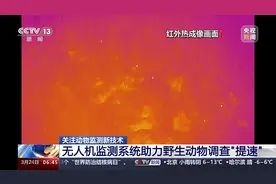 提速、准确、适用所有“四足兽”！动物监测技术最新进展来了图片