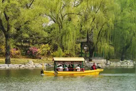 圆明园踏青节开幕  两条赏花路线邀您来打卡图片