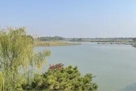 大美湿地 润泽齐鲁｜景区也是“净水器”，济宁老运河人工湿地让污水变清流图片