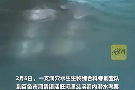 2名科考队队员在广西溶洞内潜水失联，经长达69个小时联合搜救奇迹生还，是首例国内洞穴潜水救援成功案例图片