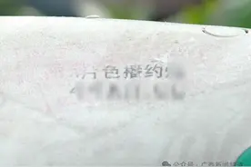共享单车又沦陷！这次被牛皮癣小广告盯上了……图片