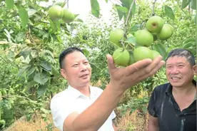 特色种植促农增收图片